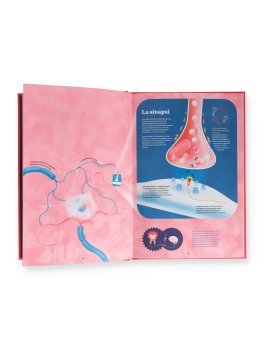 Che Cantiere! — Libro - 4