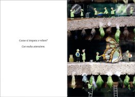 Che Cos'è il Cielo? — Libro - 3