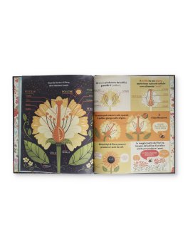 Che Cos'È un Fiore? — Libro - 2