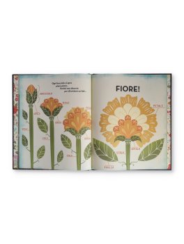 Che Cos'È un Fiore? — Libro - 3