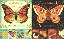 Che Cos'è una Farfalla? — Libro - 4