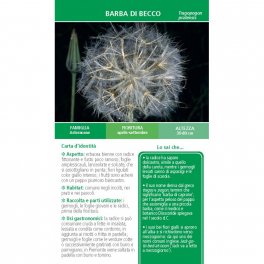 Che Erbe sono Queste? — Libro - 3