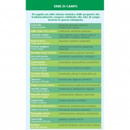 Che Erbe sono Queste? — Libro - 4
