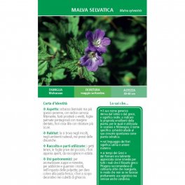 Che Erbe sono Queste? — Libro - 5