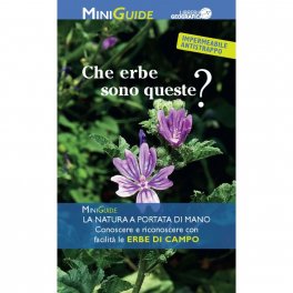 Che Erbe sono Queste? — Libro - 1