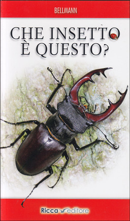 Che Insetto è Questo? — Libro - 1