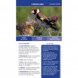 Che specie di Uccello è Questo? — Libro - 2