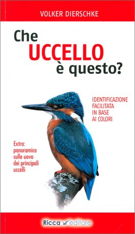 Che Uccello è Questo? — Libro - 1