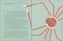 Chele — Libro - 3