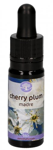 Cherry Plum - Soluzione Madre - 1