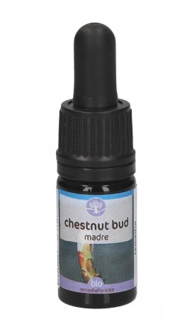 Chestnut Bud - Soluzione Madre - 1