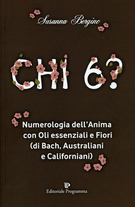 Chi 6?  — Libro - 1