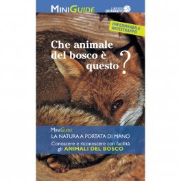 Chi è Questo Animale del Bosco? — Libro - 1