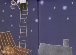 Chi Ha Rubato le Stelle? — Libro - 3