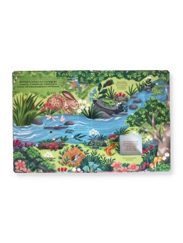 Chi si Nasconde nella Foresta? — Libro - 3