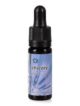 Chicory - Dose - 1
