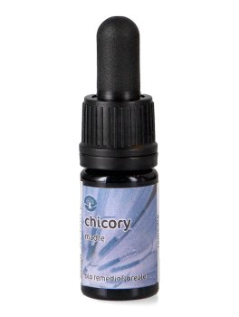 Chicory - Soluzione Madre - 1