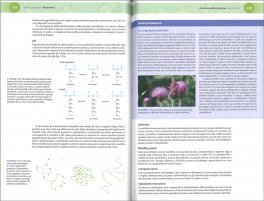 Chimica Organica Biochimica Biotecnologie — Libro - 3
