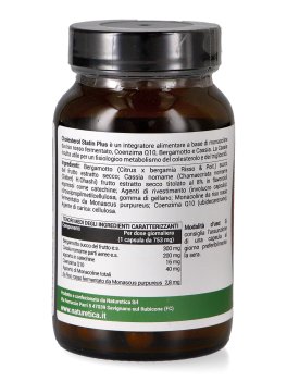 Cholesterol Statin Plus - 3