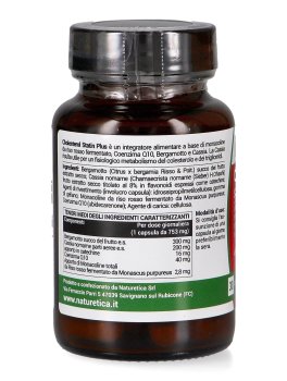 Cholesterol Statin Plus - 3