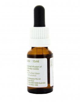 Christmas Bell - Essenza Floreale Australiana Singola - 2