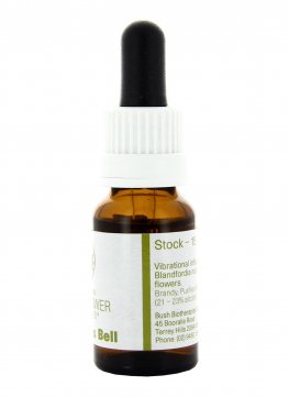 Christmas Bell - Essenza Floreale Australiana Singola - 3