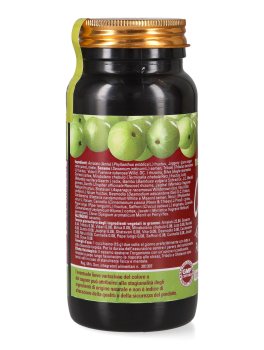 Chyawanprash - Pasta a Base di Amla - 3