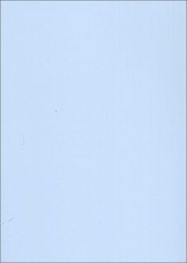Ci Salverà Nostra Madre Yin — Libro - 2