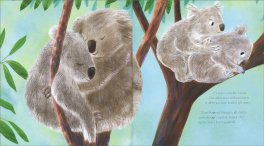 Ci Sono Fratelli, Ci Sono Sorelle — Libro - 3