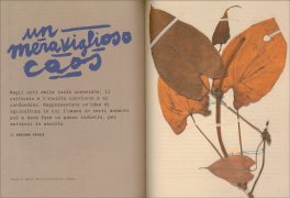 Cibo e Cultura (2024) - L'Integrale Selvatico Vol. 9 — Libro - 3