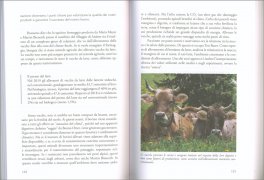 Cibo Vitale — Libro - 3