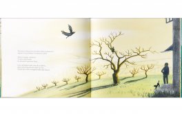 Cielo di Ciliegie — Libro - 4