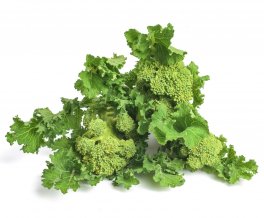 Semi di Cima di Rapa Sessantina Bio - 1