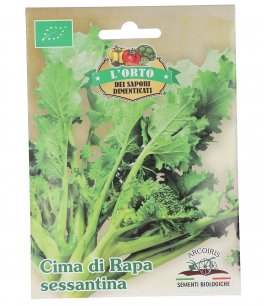Semi di Cima di Rapa Sessantina Bio - 2