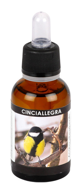 Cinciallegra - Acqua Vibrazionale