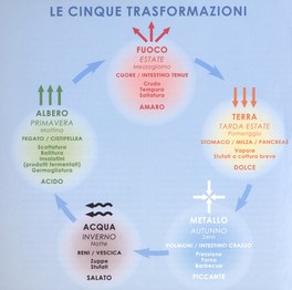 Cinque Stagioni in Cucina — Libro - 2