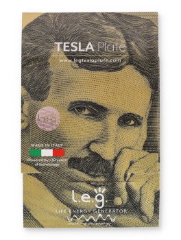 Leg Color Pendente Tesla Plate - 3