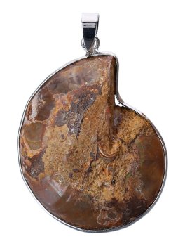 Ciondolo in Ammonite - 2