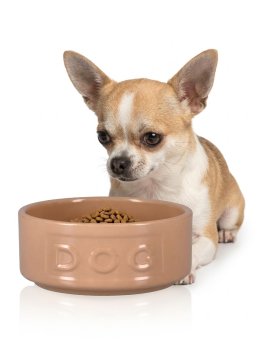 Ciotola in Ceramica per Cani Dog Original - 4