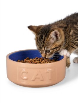 Ciotola in Ceramica per Gatti Cat Original - 4