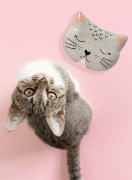 Ciotola per Gatto in Ceramica - 3