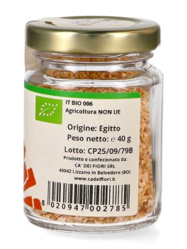Cipolla - 2