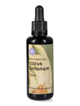 Citrus Limonum - Gemmoderivato - Foglie - 1