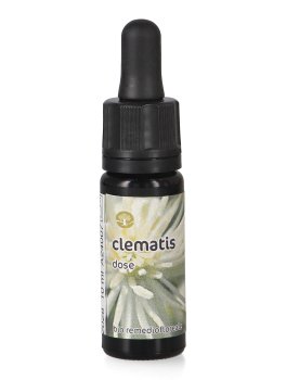 Clematis - Dose - 1