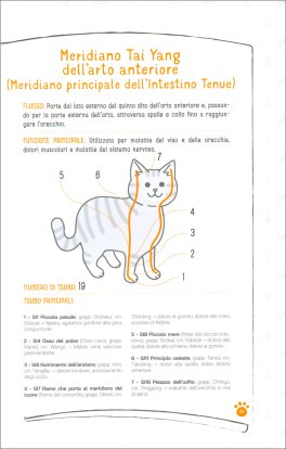 Coccole per Gatti — Libro - 3