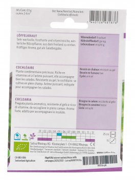 Semi di Coclearia - 2