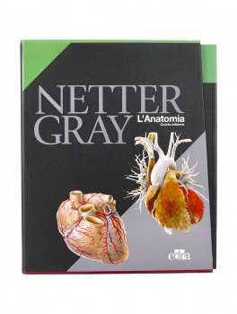 Cofanetto 3 Volumi: L'Anatomia — Libro - 3