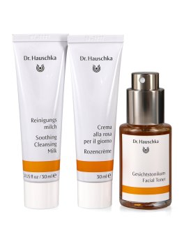 Cofanetto Dr.Hauschka Rose Harmony - 3