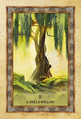 Cofanetto: Oracolo dell'Albero Celtico - Celtic Tree Oracle - 9
