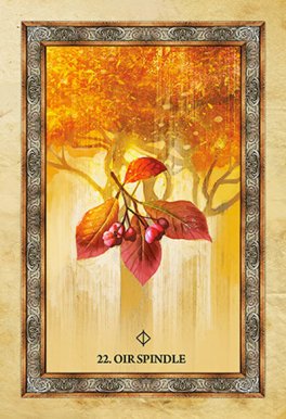Cofanetto: Oracolo dell'Albero Celtico - Celtic Tree Oracle - 10